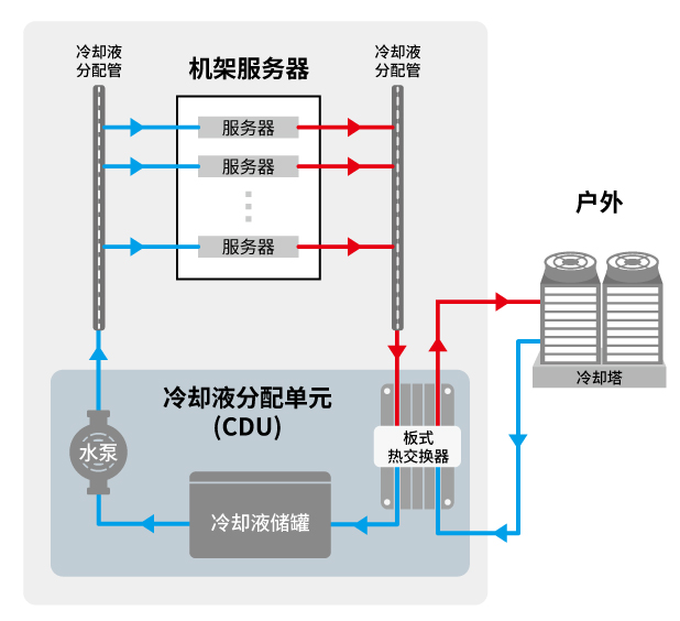 睪╰参-CDUボ種瓜.jpg